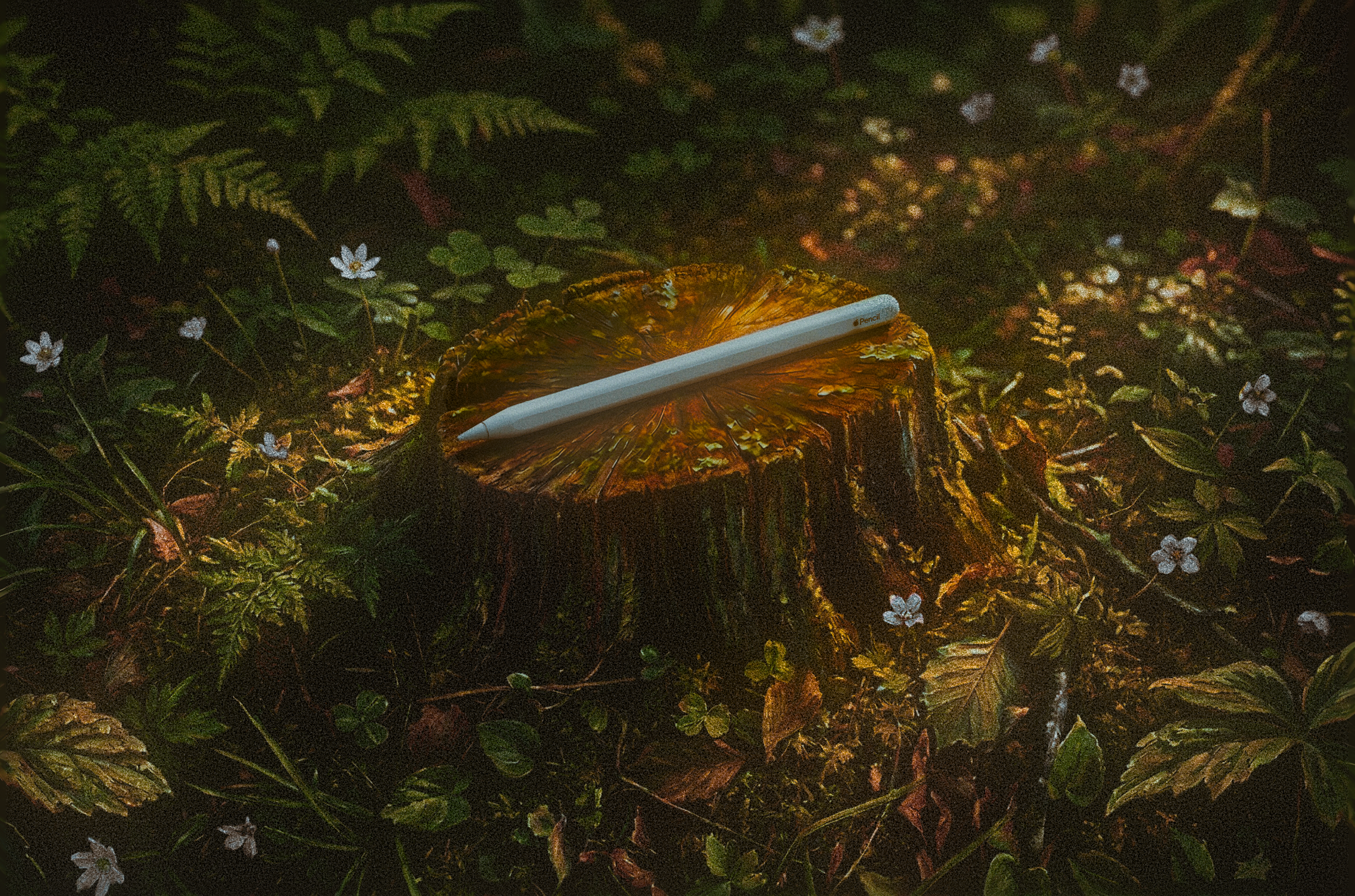 Apple Pencil on tree stump
